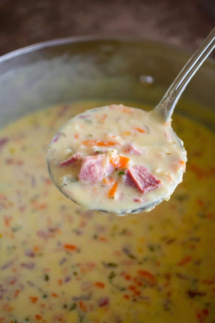 Reuben Soup with Swiss Cheese and Corned Beef, Reuben Soup recipe, hearty deli-inspired soup, easy Reuben soup, comforting corned beef soup - A close-up view of a large silver ladle filled with thick creamy soup showing pink pieces of meat, small chunks of orange carrot, and some small bits of other vegetables and herbs mixed throughout. The soup in the ladle is pale yellow with a smooth and slightly chunky texture. It is held above a large pot filled with the same creamy soup, which also displays pink meat chunks and orange carrot pieces scattered in the pale yellow base. The background is out of focus with a soft brown hue, emphasizing the thick soup in the ladle. photo taken with an iphone --ar 2:3 --v 7
